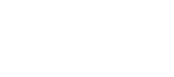 Logo Solmar Foundation